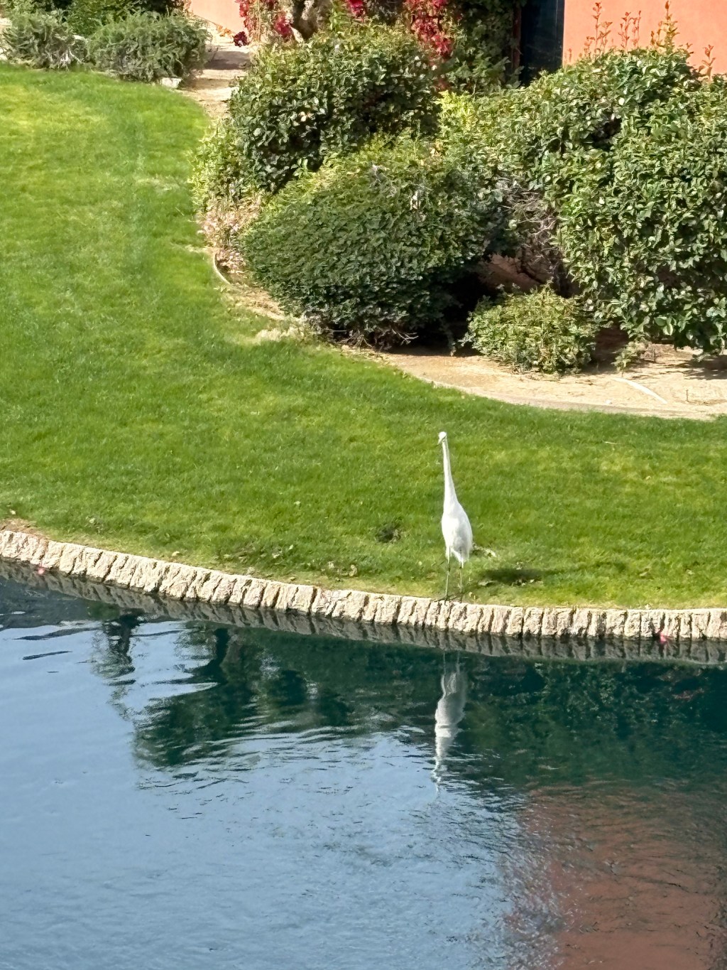 Jesus reminded me salvation is not a slam&nbsp;dunk!